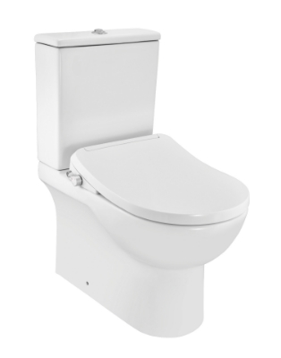 Picture of बिडस्पा रिमलेस बाउल विद सिस्टर्न फॉर कपल्ड WC