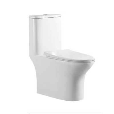 Picture of रिमलेस सिंगल पीस-WC