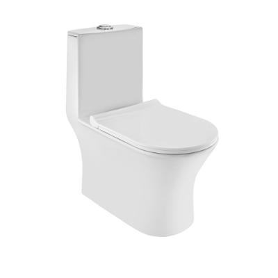 Picture of रिमलेस सिंगल पीस WC