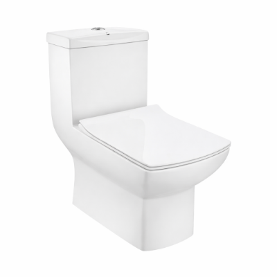 Picture of रिमलेस सिंगल पीस WC