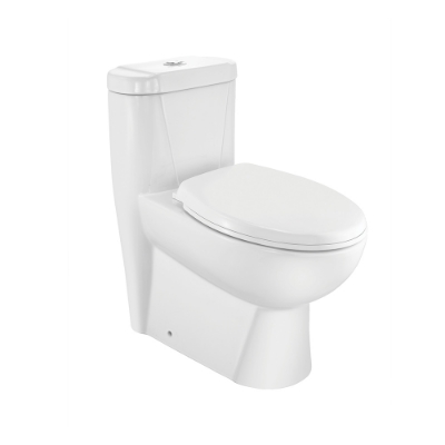 Picture of रिमलेस सिंगल पीस WC