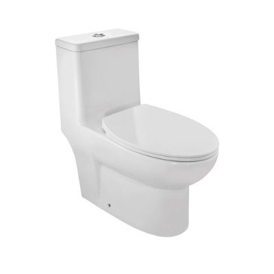 Picture of रिमलेस सिंगल पीस WC