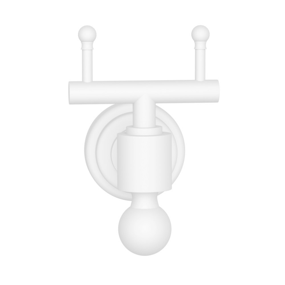 Queens Double Coat Hook AQNCHR7761 JAQUAR