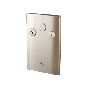 Picture of i-Flush with Concealed body - Stainless Steel