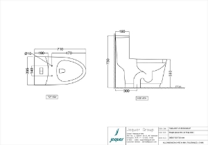 Picture of Rimless Single piece-WC