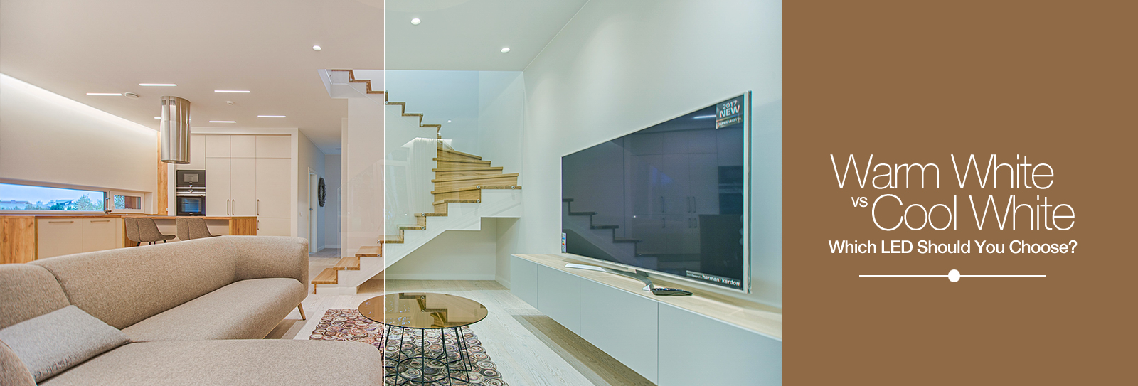 Warm White vs Cool White: Which LED Should You Choose?