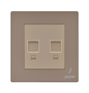 Picture of Double Computer Socket - Gold