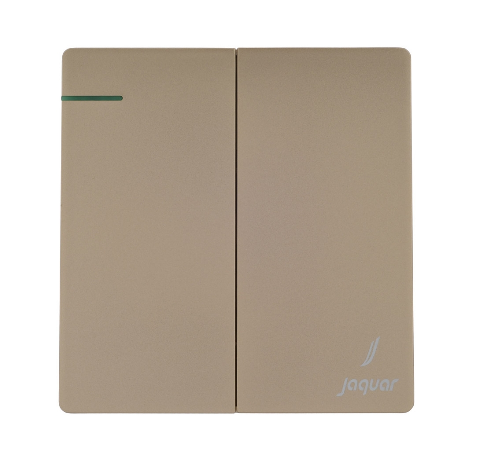 Karbonic Golden Color 2 Gang 2 Way Electric Switch