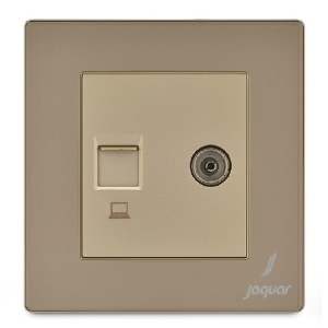 Picture of Television & Computer Socket - Gold