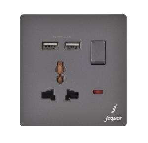 Picture of Universal Socket With 2 Usb Port - Grey