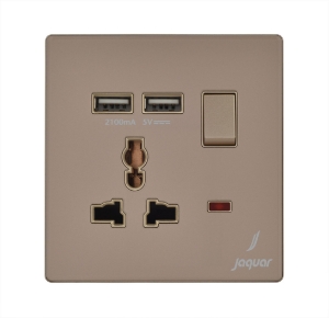 Picture of Universal Socket With 2 Usb Port - Gold