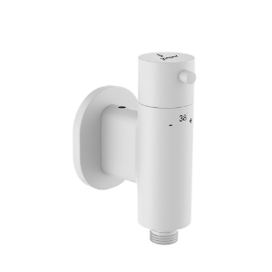 Picture of Exposed Part Kit of Concealed Thermostatic Valve - White Matt 