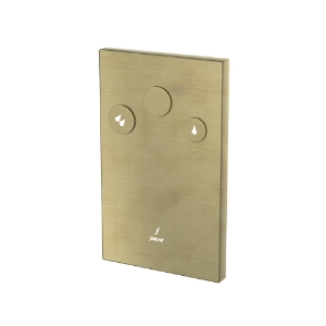 Picture of i-Flush with Concealed body - Antique Bronze