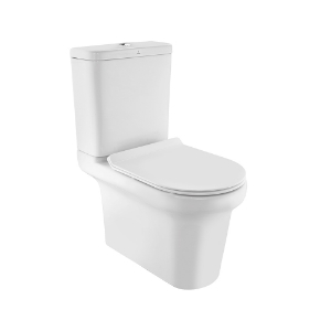 Picture of Bowl With Cistern For Coupled WC