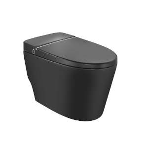 Picture of Fully Automatic Rimless Floor Mounted WC - Black Matt