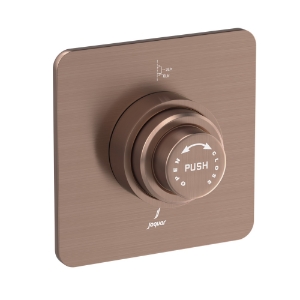 Picture of Metropole Flush Valve Dual Flow  40mm  Size (Concealed Body) - Antique Copper