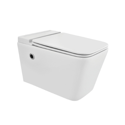 Picture of Tankless Wall Hung WC