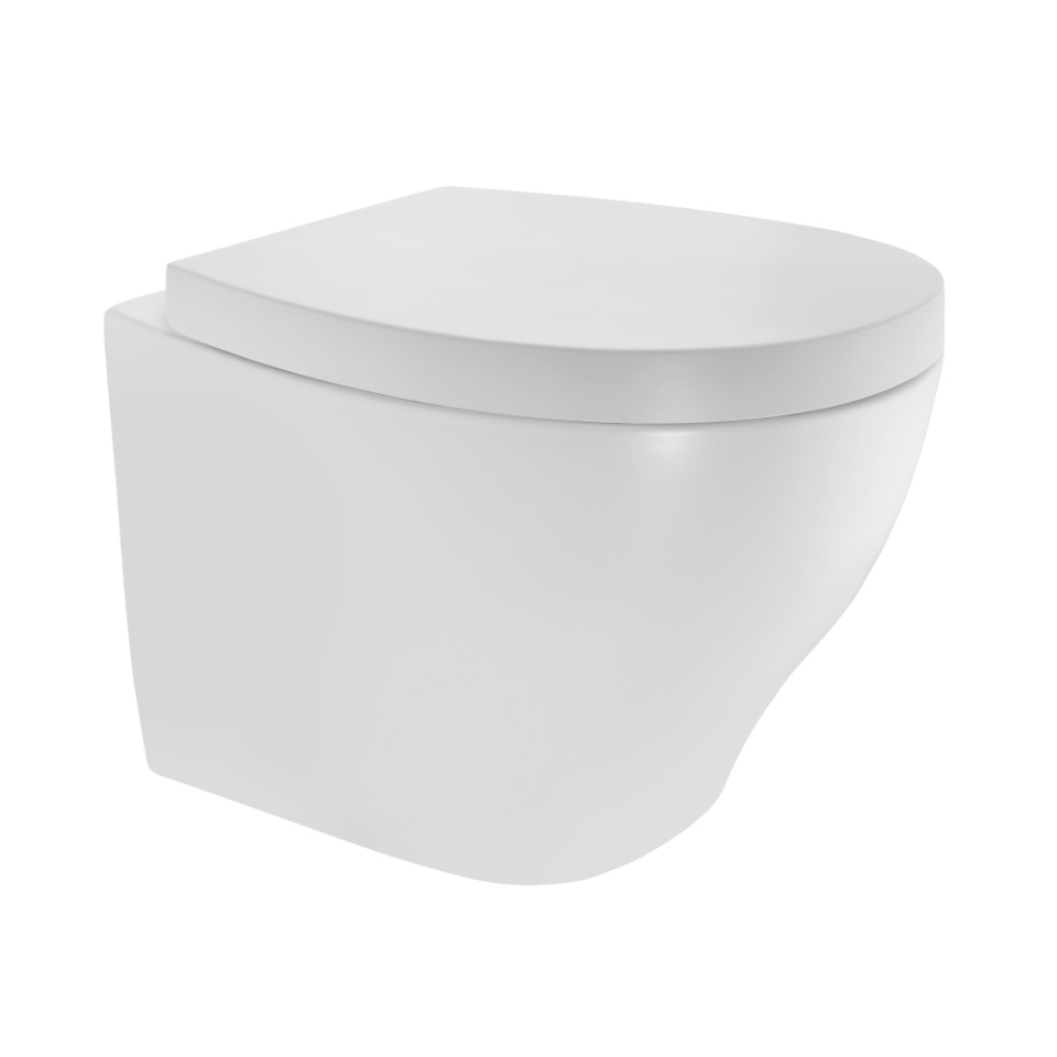 Picture of Rimless, Blind Installation Wall Hung WC