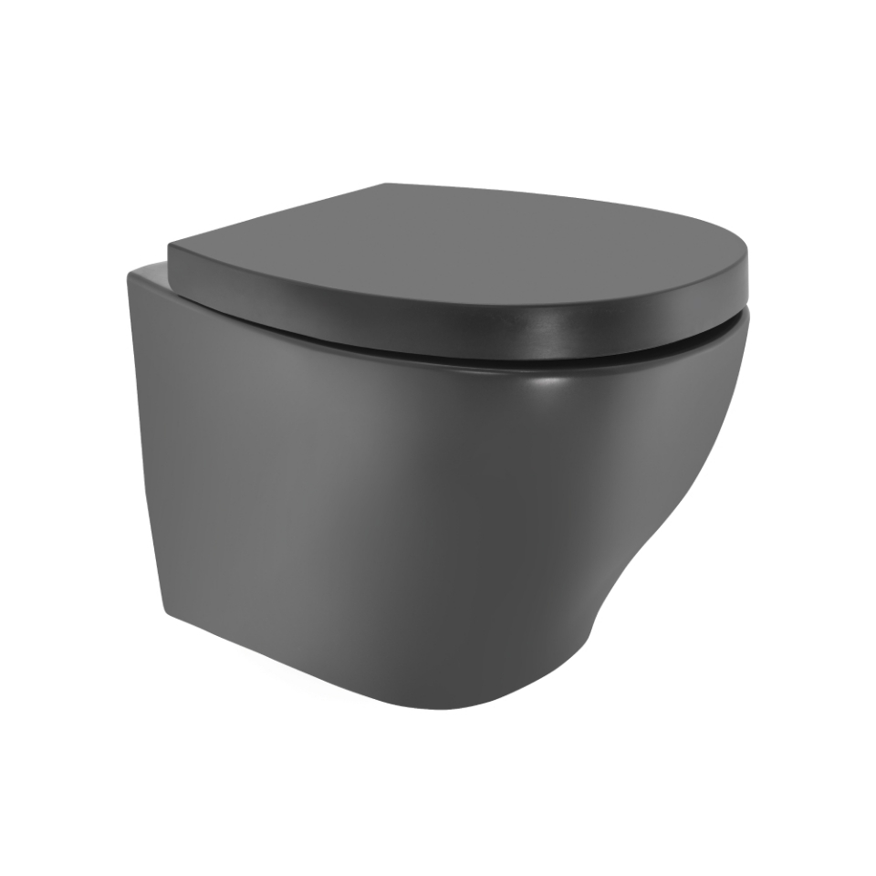 Picture of Rimless, Blind Installation Wall Hung WC - Grey Matt