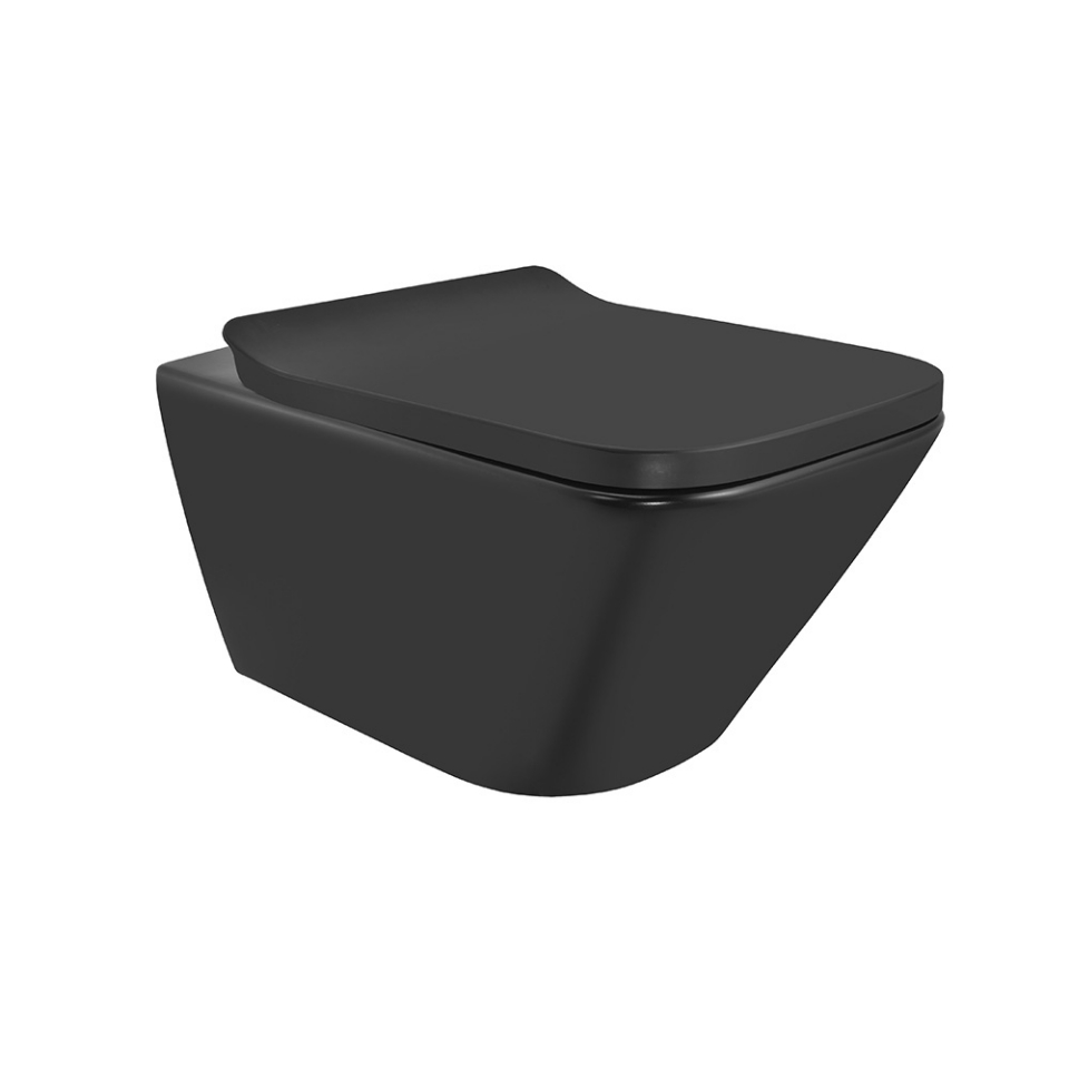 Picture of Rimless Blind Installation Wall Hung WC