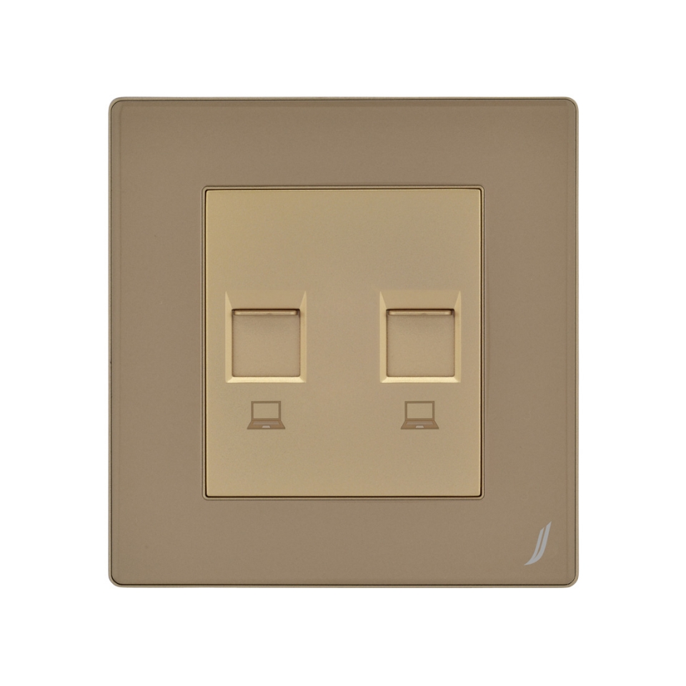 Picture of Double Computer Socket - Gold