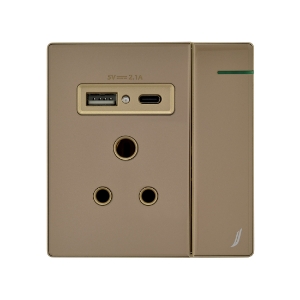 Picture of Three Pin Socket With Indicator And Big Switch And One Usb And One Type-C - Gold