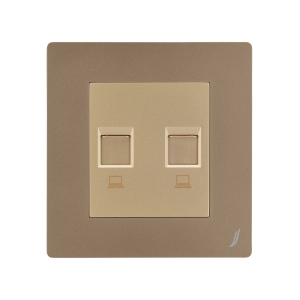 Picture of Double Computer Socket - Gold