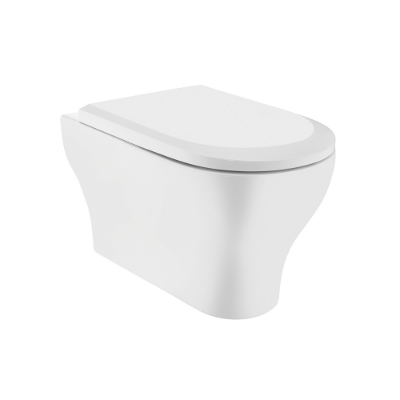 Picture of Rimless Blind Installation Wall Hung WC