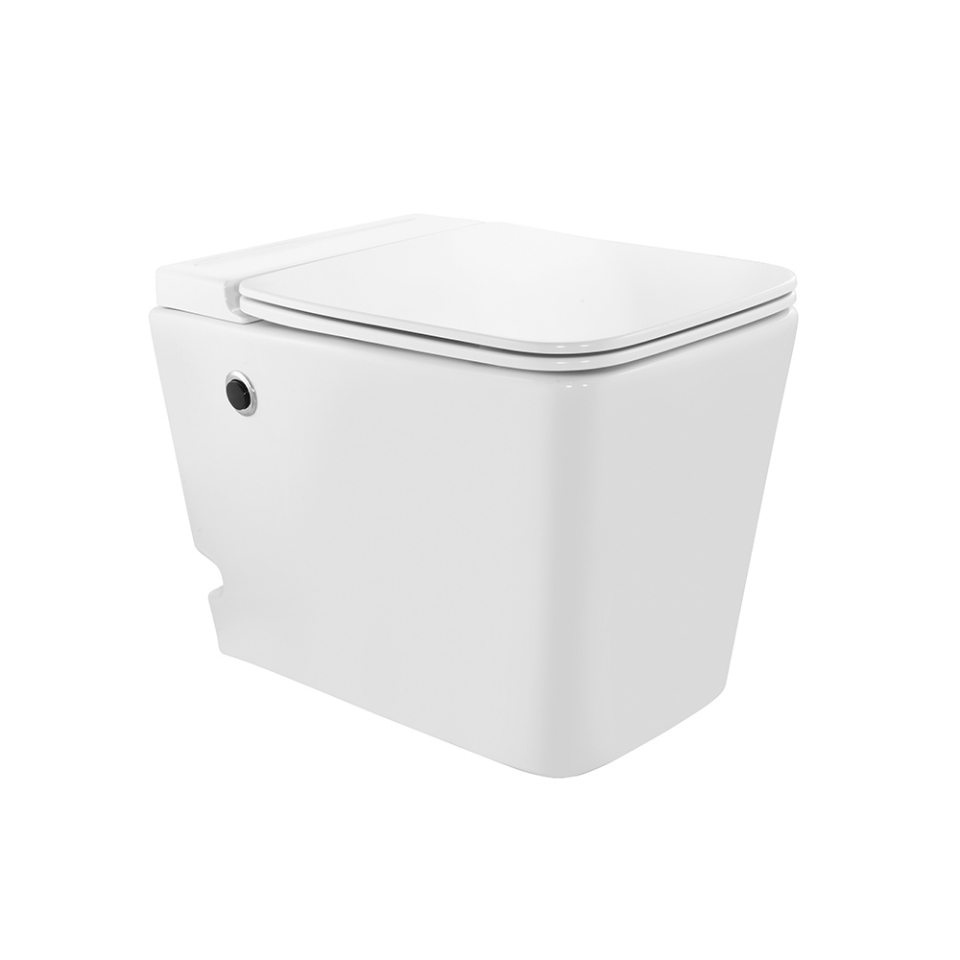 Picture of Tankless Single Piece WC