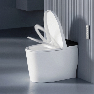 Bidspa (Electronic WC) | Jaquar