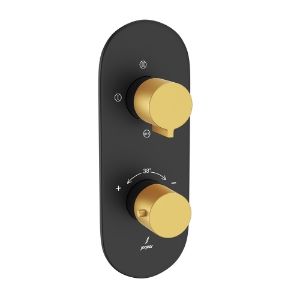 Picture of Aquamax Thermostatic Shower Mixer With 3-Way Diverter - Lever: Gold Matt PVD | Body: Black Matt