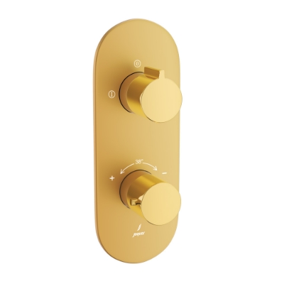 Picture of Aquamax Exposed Part Kit of Thermostatic Shower Mixer with 2-way diverter - Lever: Gold Bright PVD | Body: Gold Matt PVD