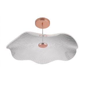 Picture of 1 Lt Acrylic Disc