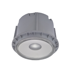 Picture of Led Eye Ceiling Recess Downlight 60 Deg 24W