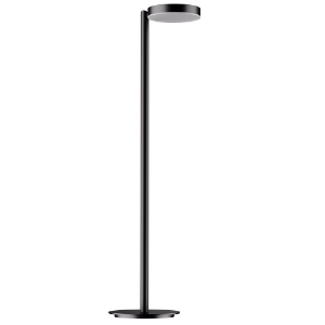 Picture of Light Floor Lamp with Goose Neck Spring in Balck Finish