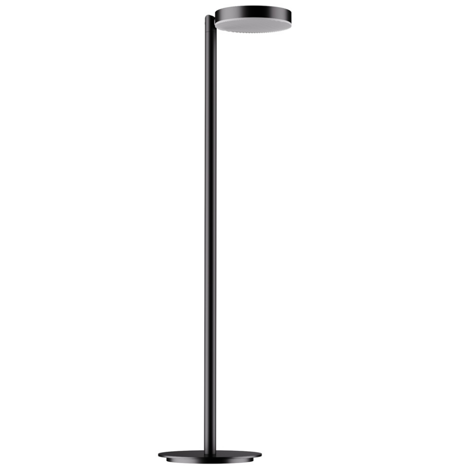Picture of Light Floor Lamp with Goose Neck Spring in Balck Finish