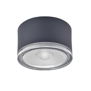 Picture of LED Eye Ceiling Surface Downlight