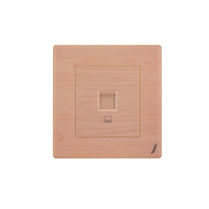 Picture of Computer Data Socket