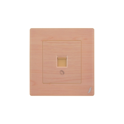 Picture of One Way Telephone Socket