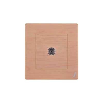 Picture of One Way Television Socket