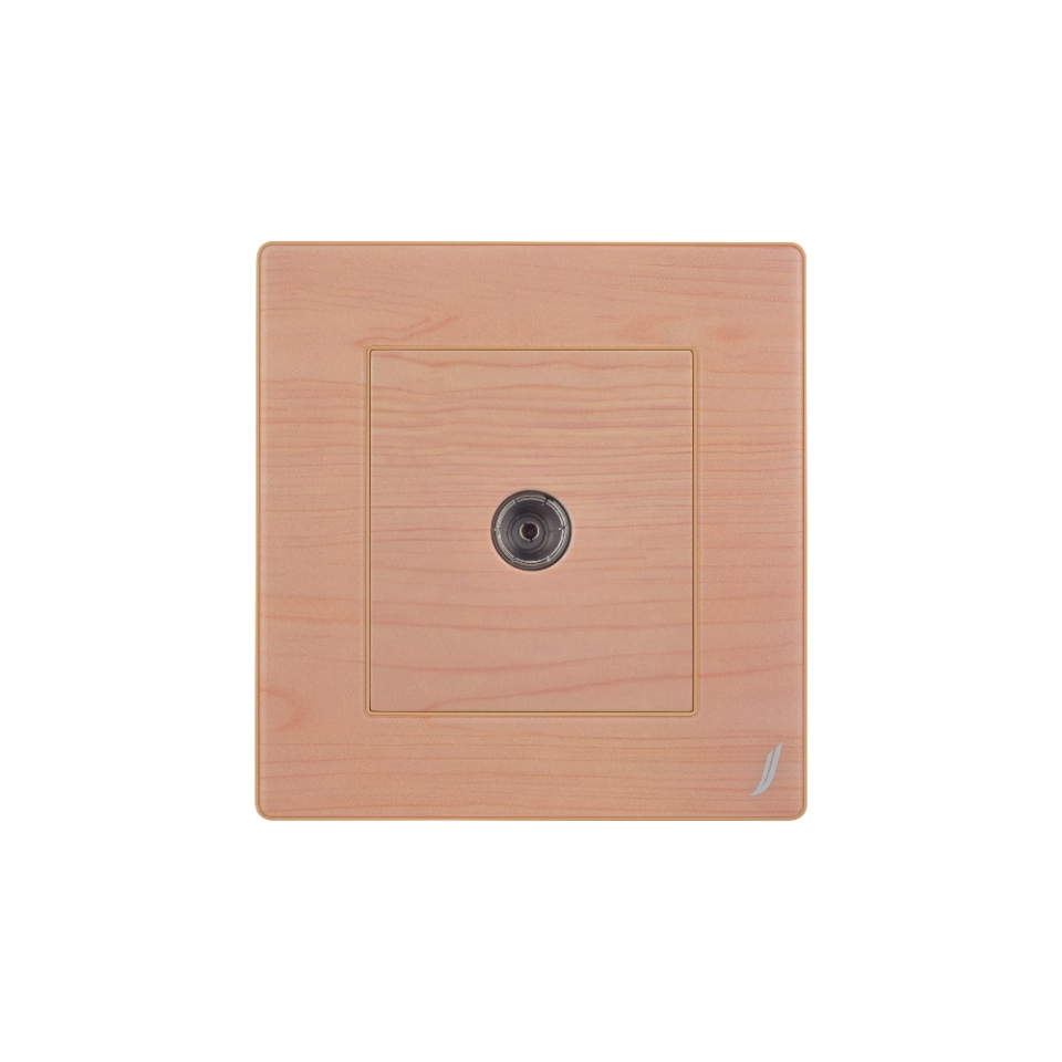 Picture of One Way Television Socket