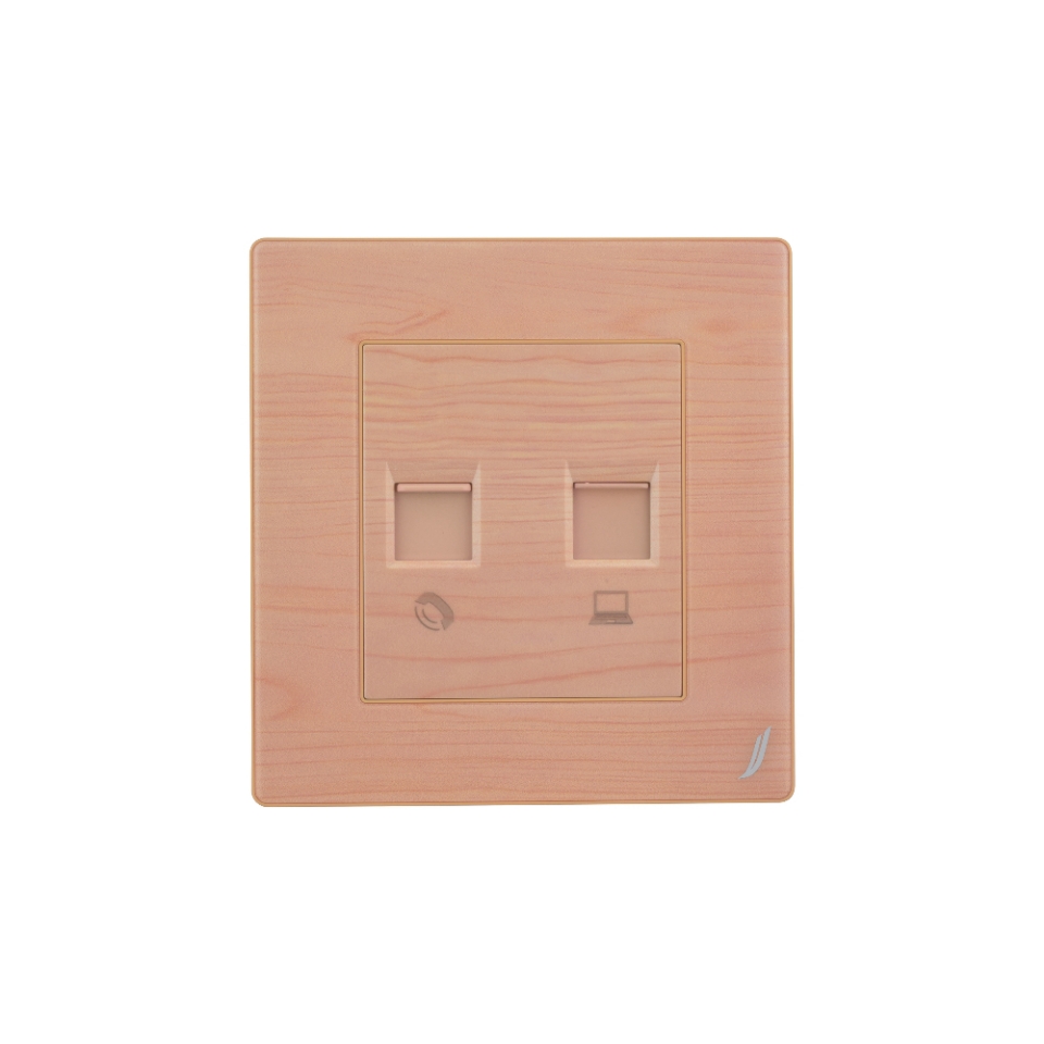 Picture of Telephone & Computer Data Socket
