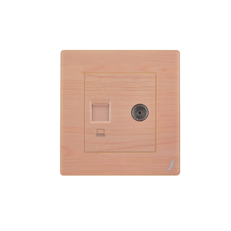 Picture of Television & Computer Socket