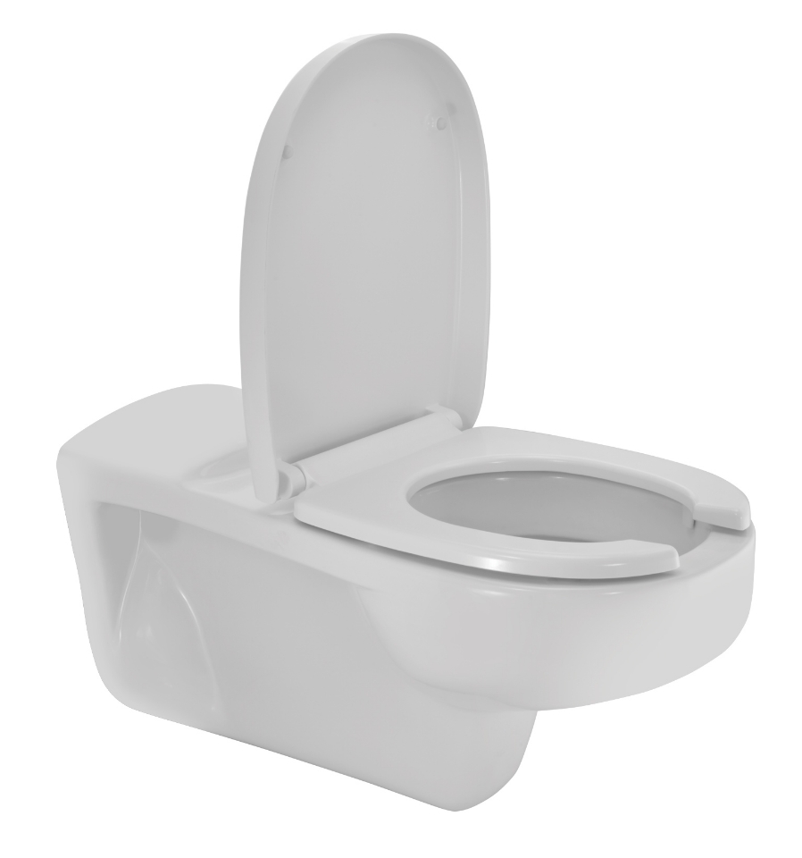 Picture of Wall Hung WC
