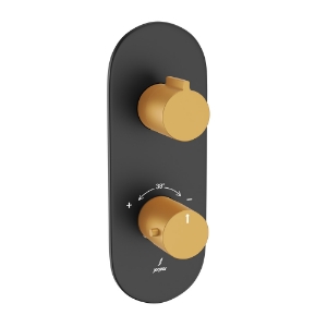 Picture of Aquamax Exposed Part Kit of Thermostatic Shower Mixer - Lever: Gold Matt PVD | Body: Black Matt